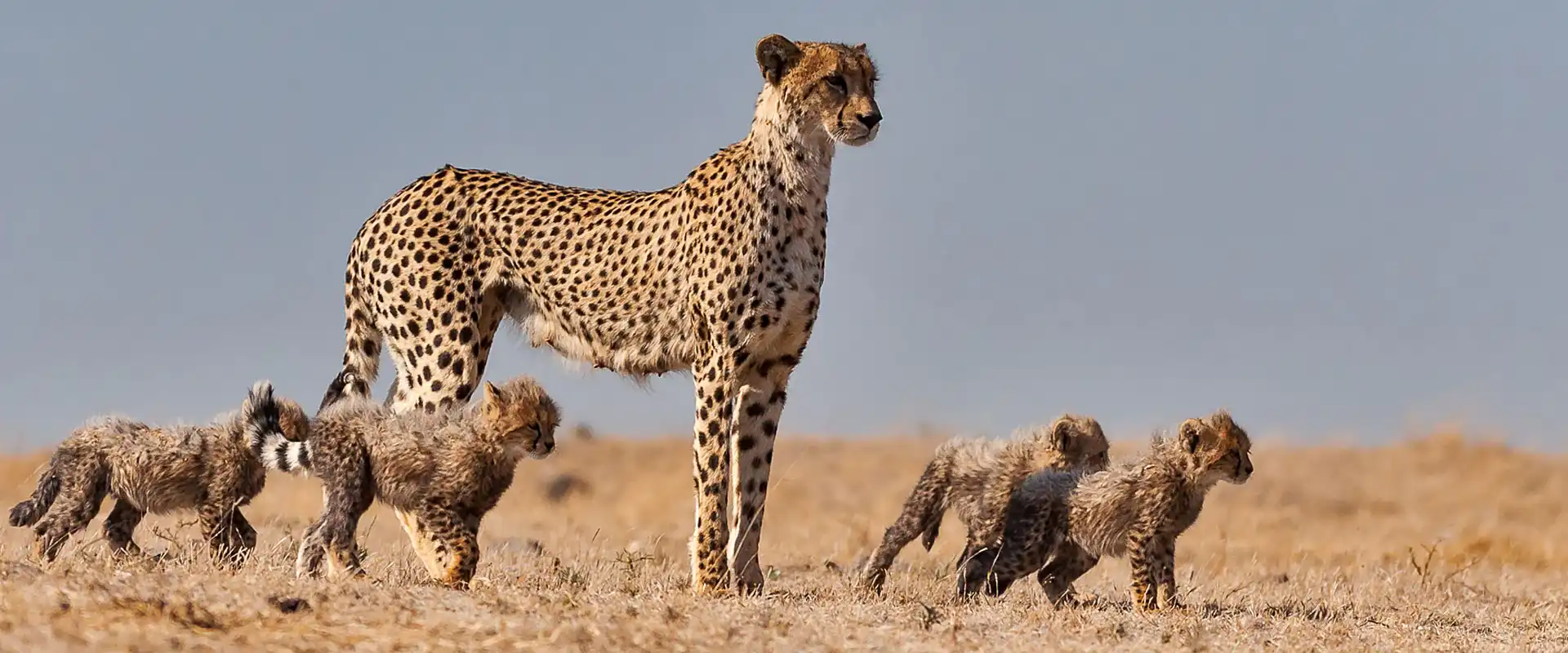 Tanzania national parks destinations