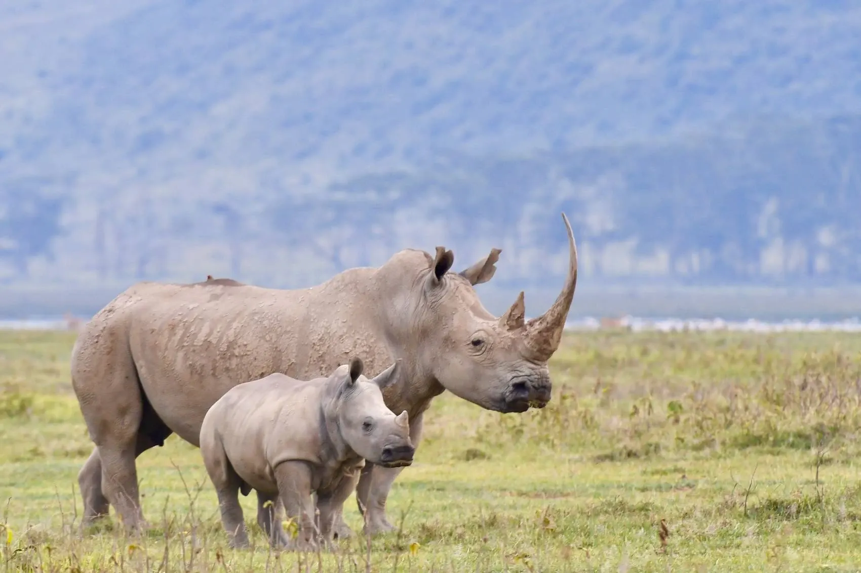 Tanzania in February - Ngorongoro
