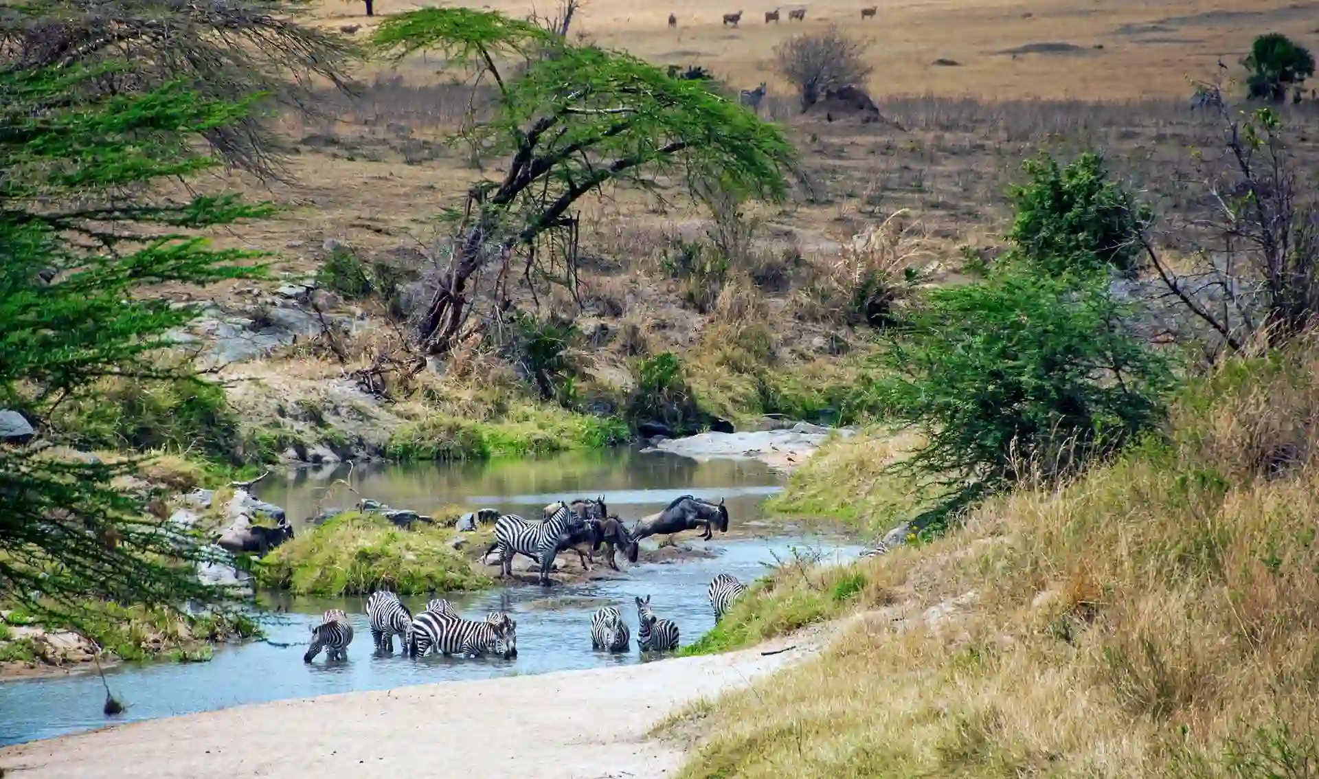 Weather in Tanzania in January